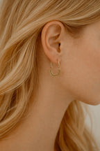• Paloma 02 •
