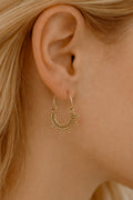 • Paloma 02 •