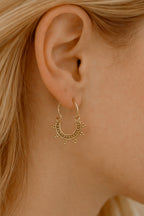 • Paloma 02 •